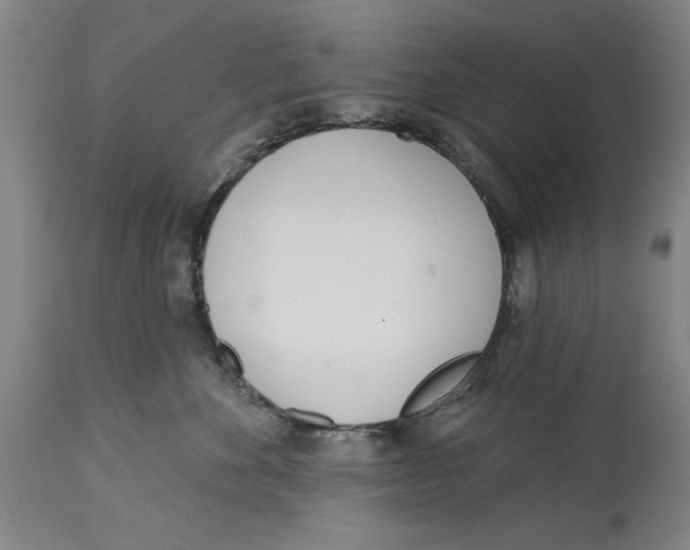 X0000114570524200911161249