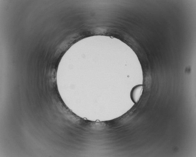 X0000114570525200911161249