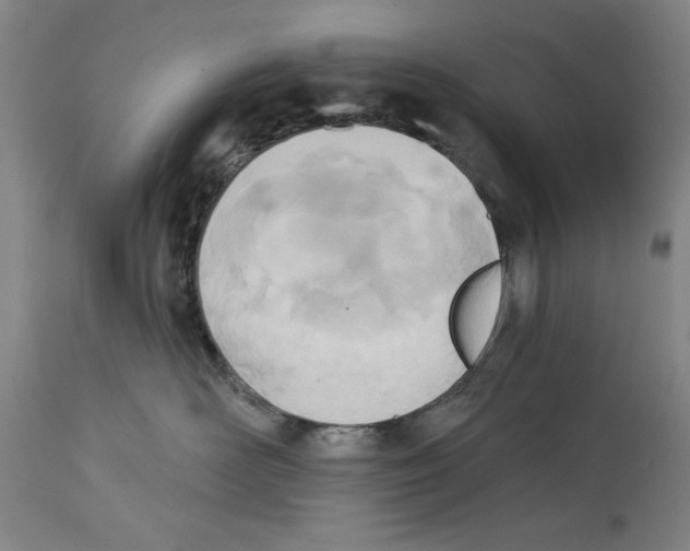 X0000114570526200911161249