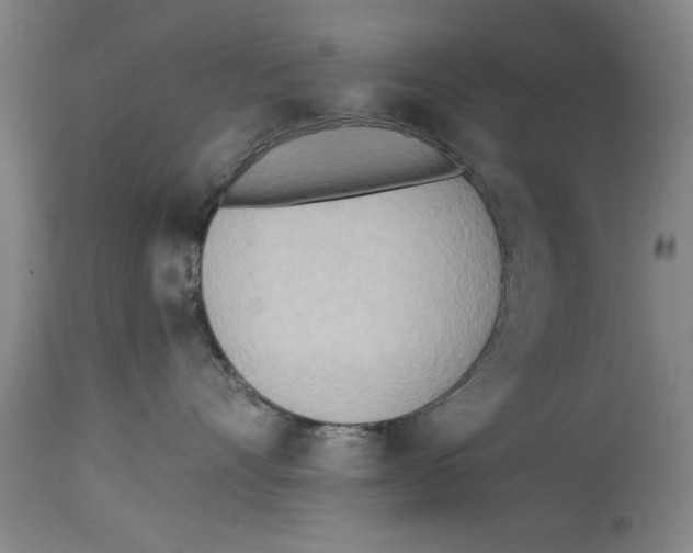 X0000114570528200911161249