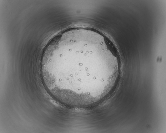 X0000114570529200911161248