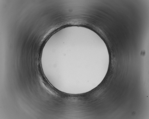 X0000114570530200911161248