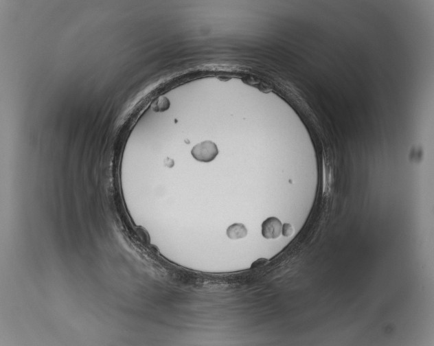 X0000114570531200911161248