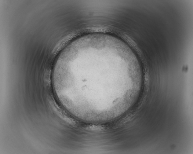 X0000114570537200911161248