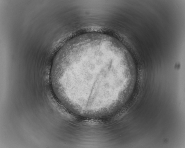 X0000114570545200911161248