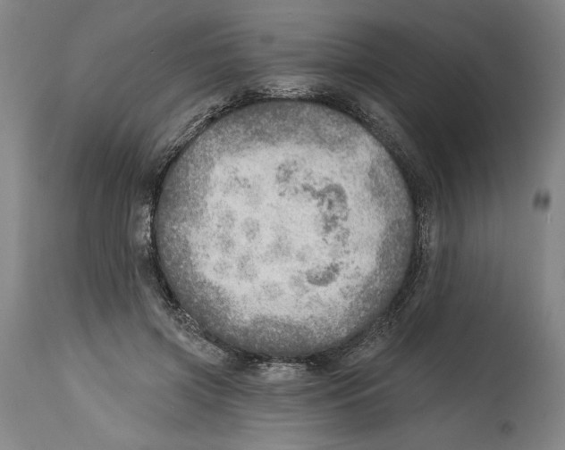 X0000114570549200911161248