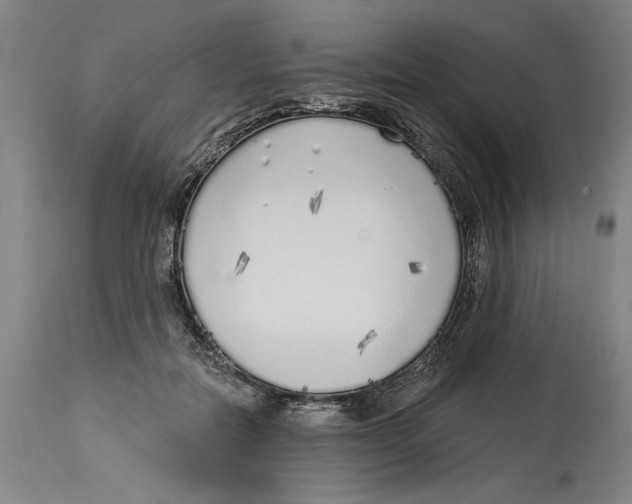 X0000114570554200911161248