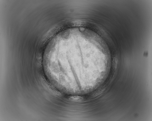 X0000114570557200911161248