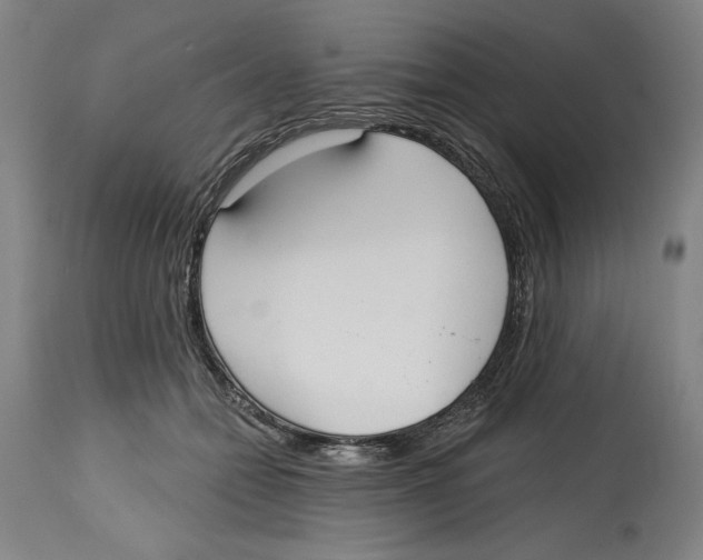 X0000114570558200911161248