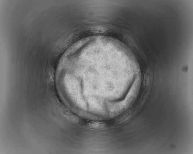 X0000114570561200911161248