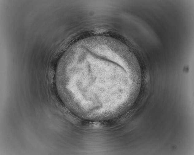 X0000114570565200911161249