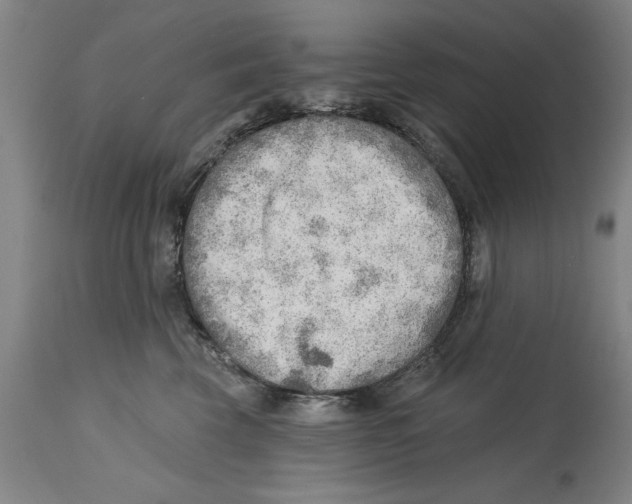 X0000114570569200911161249