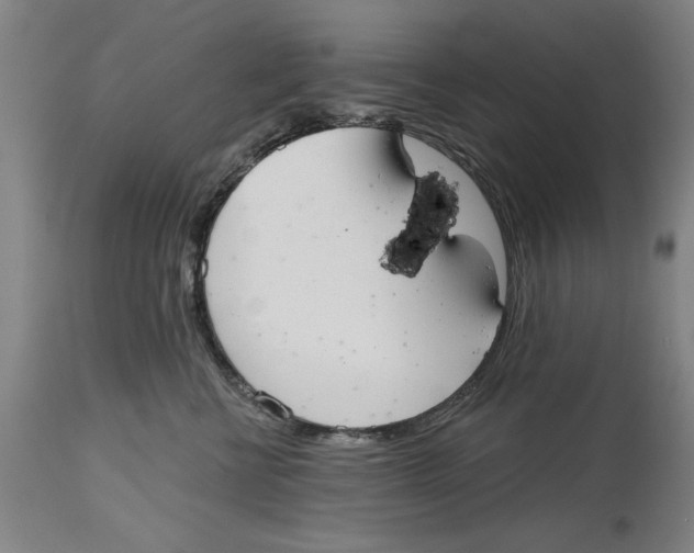 X0000114570570200911161249