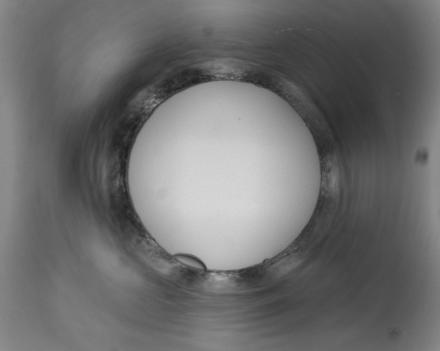 X0000114570573200911161249