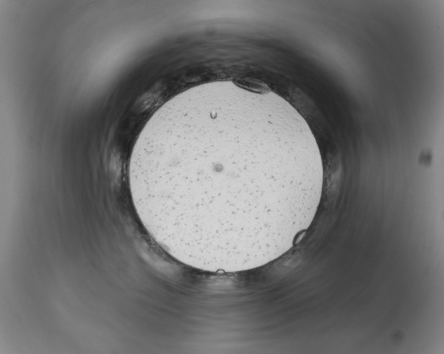 X0000114570574200911161249