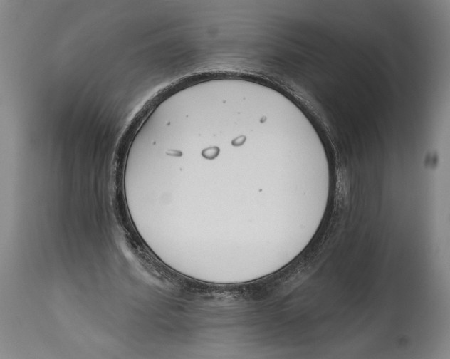 X0000114570580200911161248