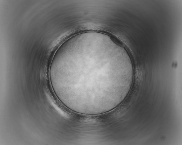 X0000114570581200911161248