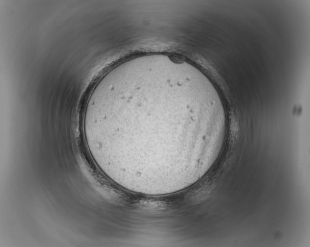 X0000114570582200911161248