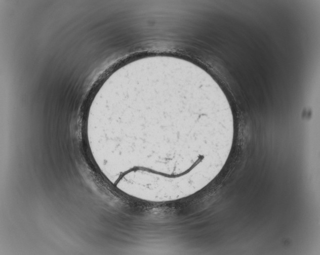 X0000114570584200911161248