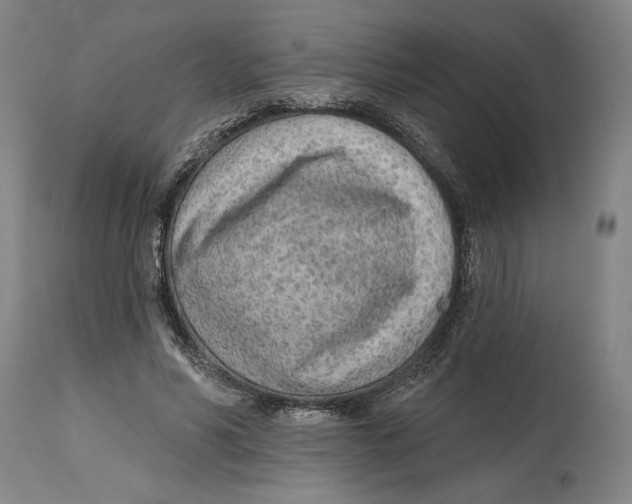 X0000114570590200911161248