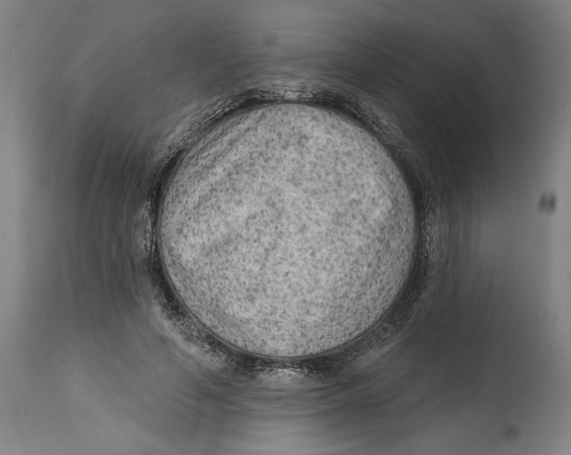 X0000114570594200911161248