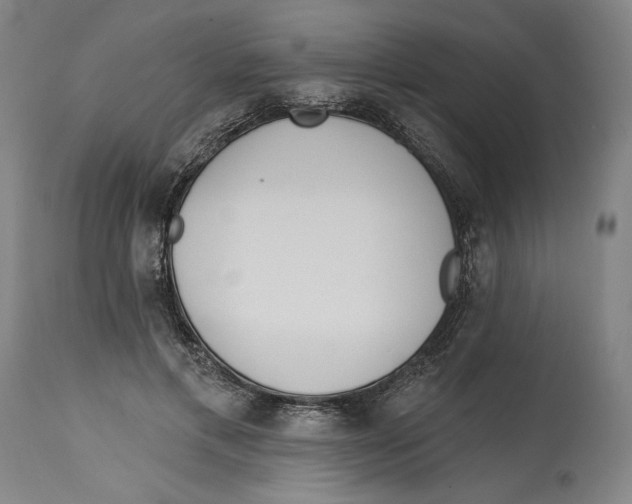 X0000114570597200911161248