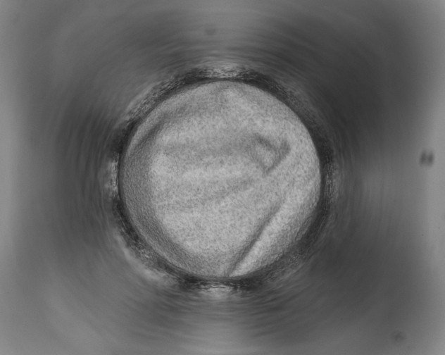 X0000114570598200911161248