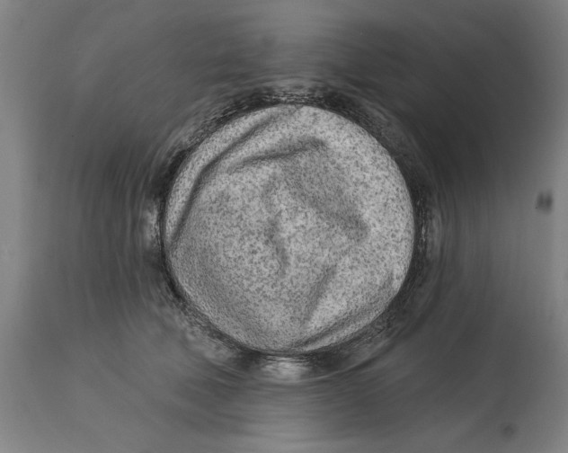 X0000114570610200911161248