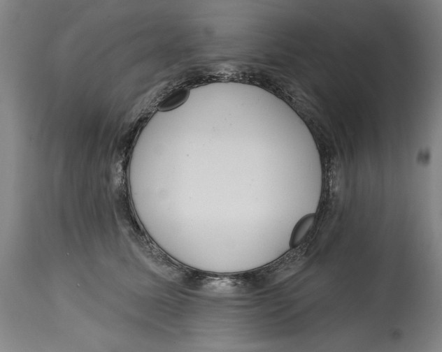 X0000114570611200911161248