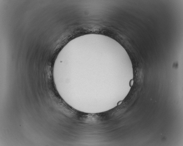 X0000114570612200911161248