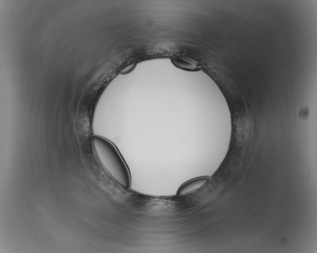 X0000114570617200911161247