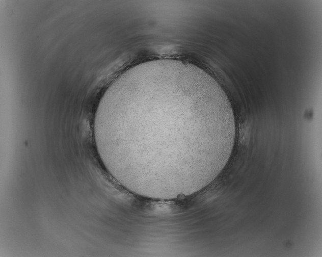 X0000114570618200911161247