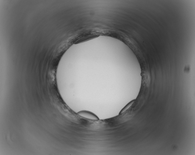 X0000114570621200911161247