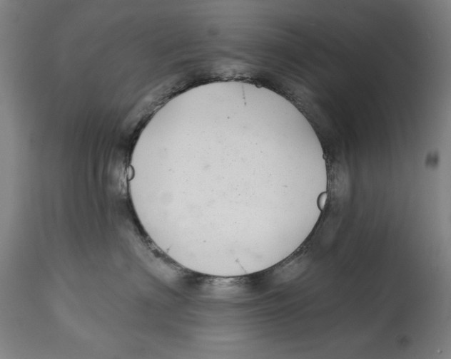 X0000114570622200911161247