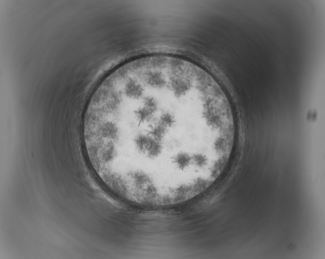 X0000114570625200911161247