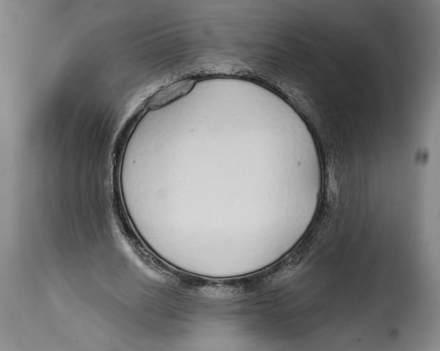 X0000114570630200911161247