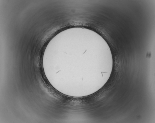 X0000114570631200911161247