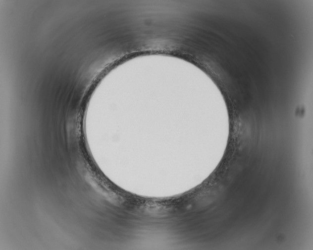 X0000114570632200911161247