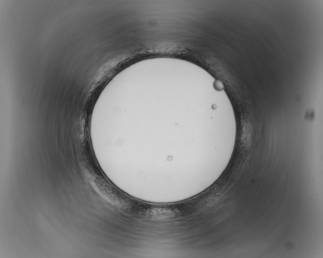 X0000114570636200911161247