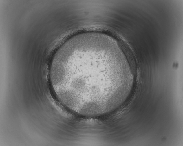 X0000114570637200911161247