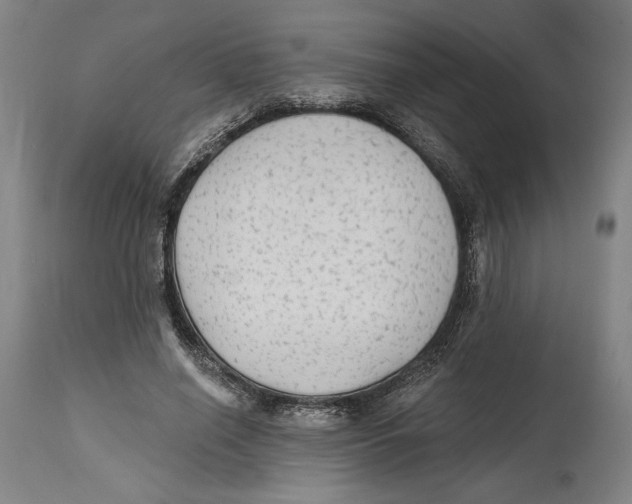 X0000114570638200911161247