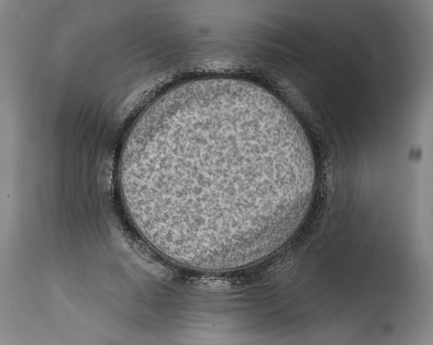 X0000114570640200911161247