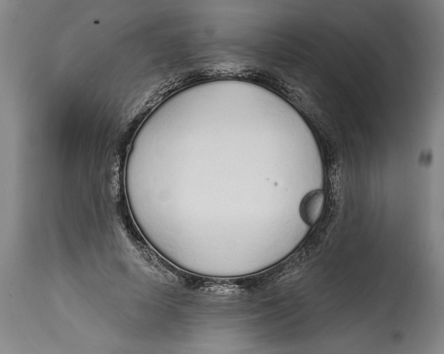 X0000114570642200911161247