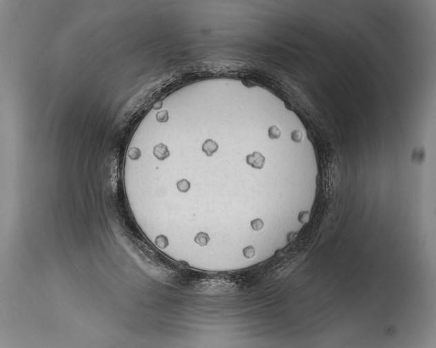 X0000114570644200911161247