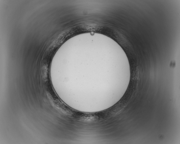 X0000114570646200911161247