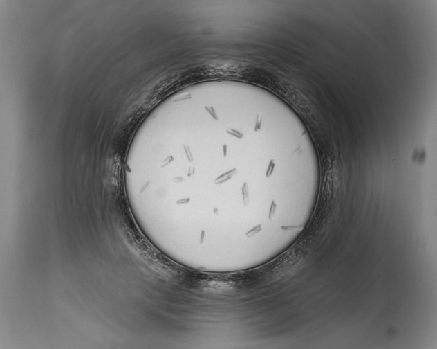 X0000114570649200911161247