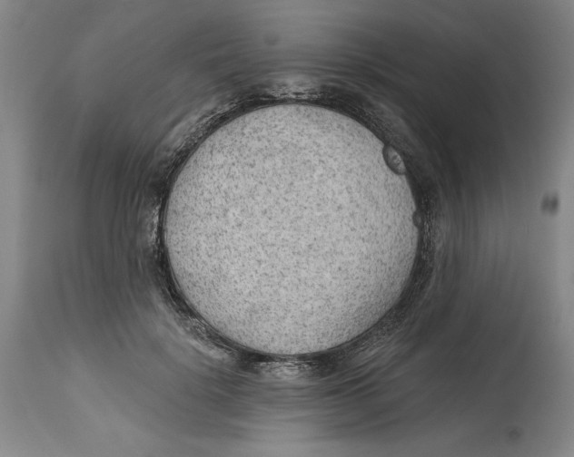 X0000114570652200911161247