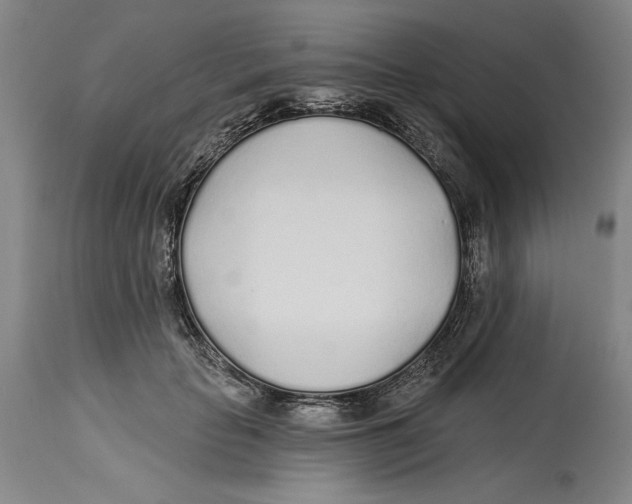 X0000114570653200911161247