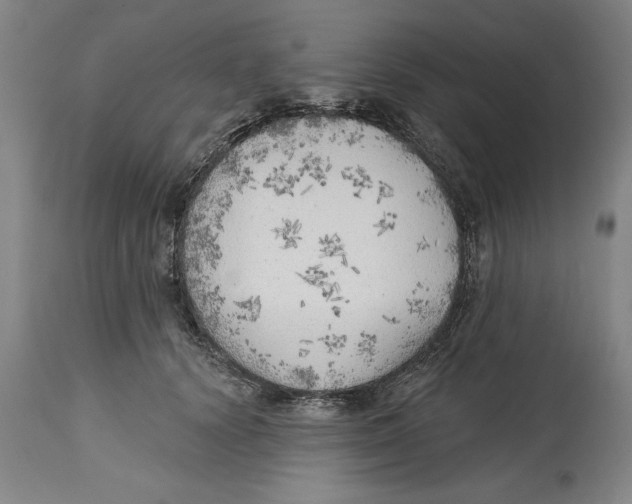 X0000114570656200911161247