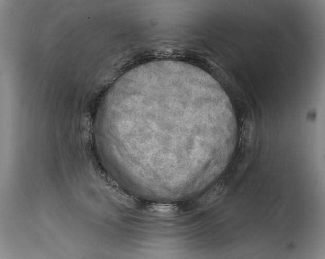 X0000114570659200911161247